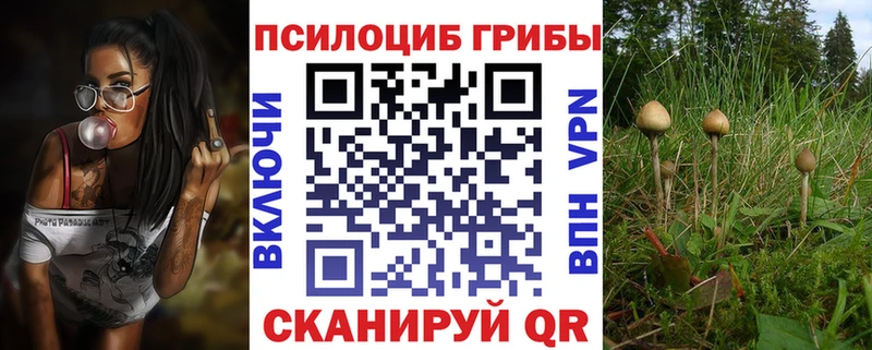 Галлюциногенные грибы Cubensis  закладки  Саяногорск 